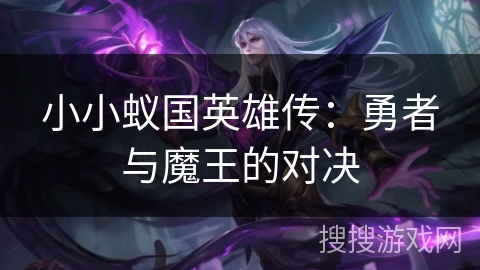 小小蚁国英雄传：勇者与魔王的对决