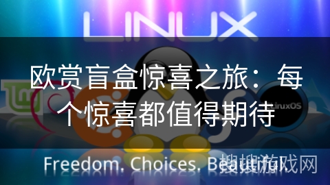 欧赏盲盒惊喜之旅：每个惊喜都值得期待