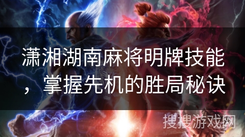 潇湘湖南麻将明牌技能,掌握先机的胜局秘诀 潇湘湖南麻将明牌技能,掌握先机的胜局秘诀