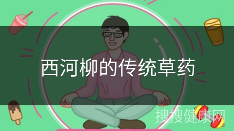 西河柳的传统草药