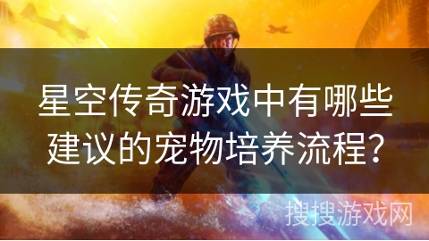 星空传奇游戏中有哪些建议的宠物培养流程?
