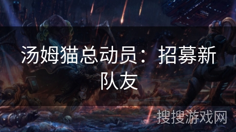 汤姆猫总动员:招募新队友 汤姆猫总动员:招募新队友