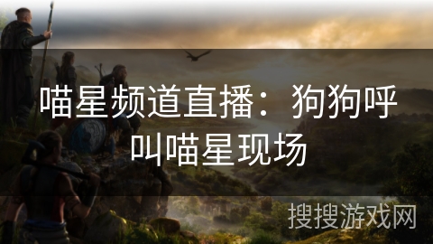 喵星频道直播：狗狗呼叫喵星现场