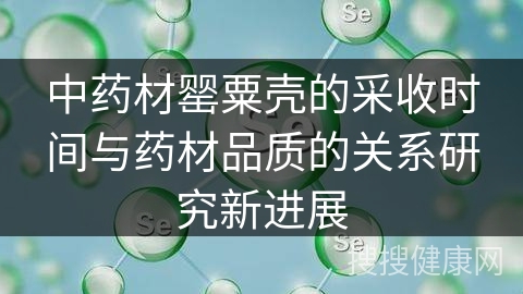 中药材罂粟壳的采收时间与药材品质的关系研究新进展