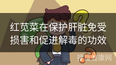 红苋菜在保护肝脏免受损害和促进解毒的功效