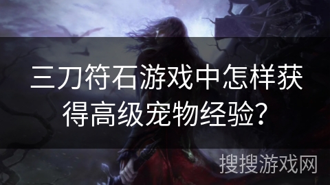 三刀符石游戏中怎样获得高级宠物经验? 三刀符石游戏中怎样获得高级宠物经验?