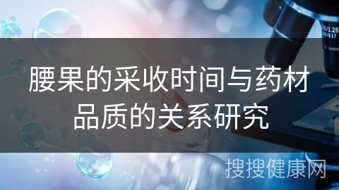 腰果的采收时间与药材品质的关系研究