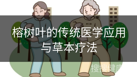 榕树叶的传统医学应用与草本疗法