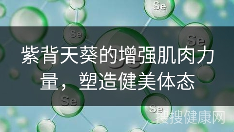 紫背天葵的增强肌肉力量，塑造健美体态