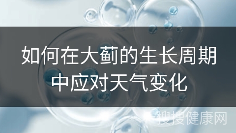 如何在大蓟的生长周期中应对天气变化