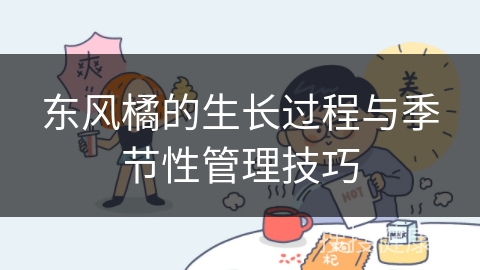 东风橘的生长过程与季节性管理技巧