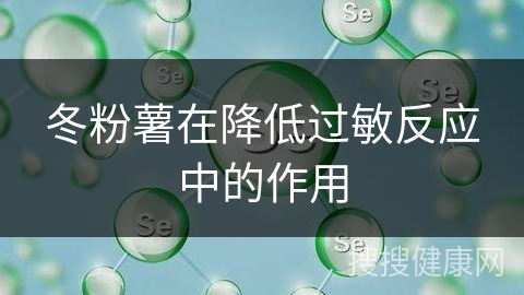 冬粉薯在降低过敏反应中的作用