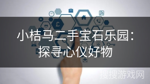 小桔马二手宝石乐园:探寻心仪好物 小桔马二手宝石乐园:探寻心仪好物