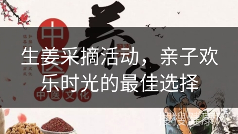 生姜采摘活动，亲子欢乐时光的最佳选择