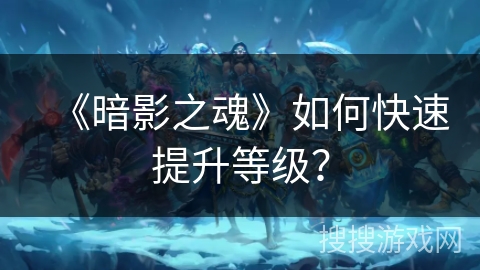 《暗影之魂》如何快速提升等级？