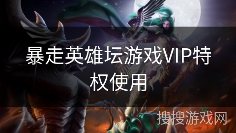 暴走英雄坛游戏VIP特权使用
