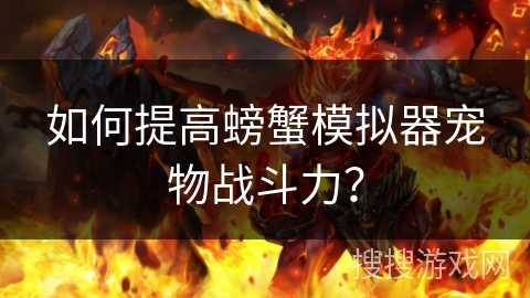 如何提高螃蟹模拟器宠物战斗力？