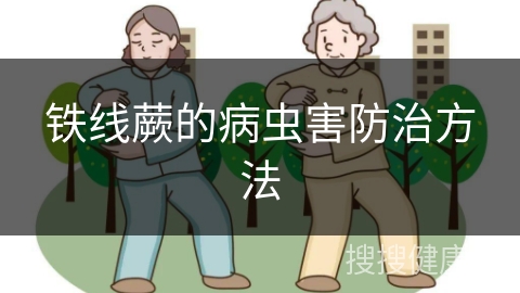 铁线蕨的病虫害防治方法