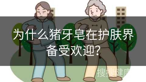 为什么猪牙皂在护肤界备受欢迎？