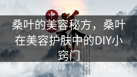 桑叶的美容秘方，桑叶在美容护肤中的DIY小窍门