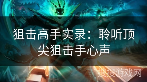 狙击高手实录：聆听顶尖狙击手心声