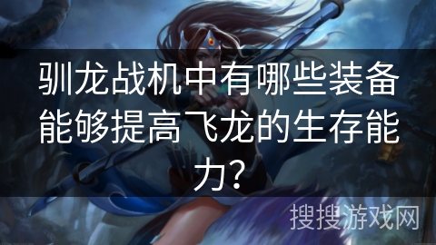 驯龙战机中有哪些装备能够提高飞龙的生存能力？