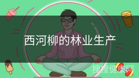 西河柳的林业生产