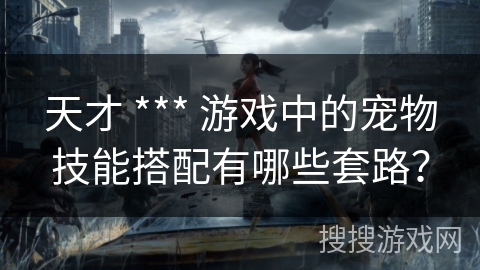 天才 *** 游戏中的宠物技能搭配有哪些套路？