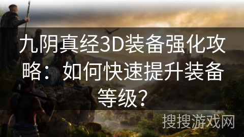 九阴真经3D装备强化攻略：如何快速提升装备等级？