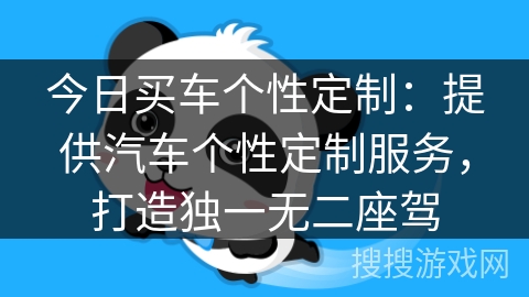 今日买车个性定制：提供汽车个性定制服务，打造独一无二座驾