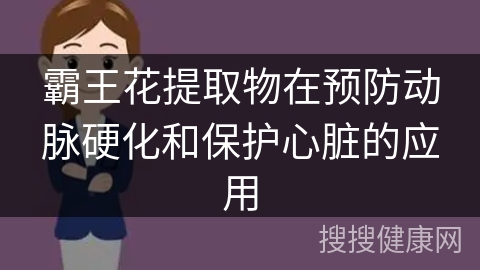 霸王花提取物在预防动脉硬化和保护心脏的应用