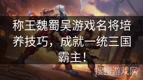 称王魏蜀吴游戏名将培养技巧，成就一统三国霸主！