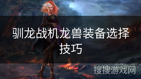 驯龙战机龙兽装备选择技巧