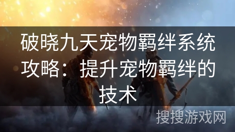 破晓九天宠物羁绊系统攻略：提升宠物羁绊的技术