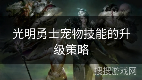 光明勇士宠物技能的升级策略