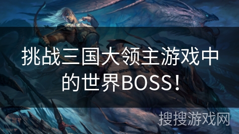 挑战三国大领主游戏中的世界BOSS! 挑战三国大领主游戏中的世界BOSS!