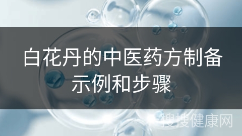 白花丹的中医药方制备示例和步骤