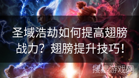 圣域浩劫如何提高翅膀战力？翅膀提升技巧！