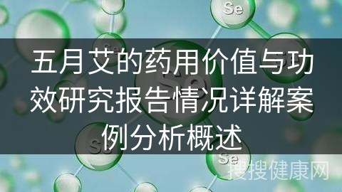 五月艾的药用价值与功效研究报告情况详解案例分析概述