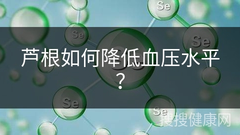 芦根如何降低血压水平？