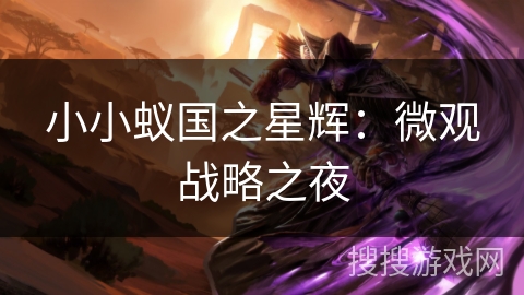 小小蚁国之星辉:微观战略之夜 小小蚁国之星辉:微观战略之夜