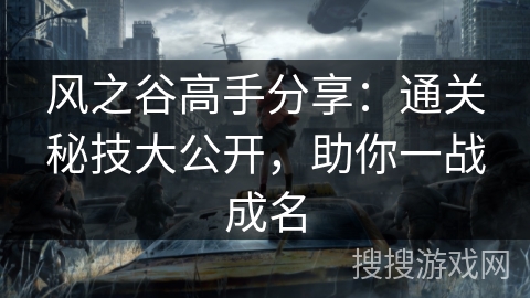 风之谷高手分享：通关秘技大公开，助你一战成名