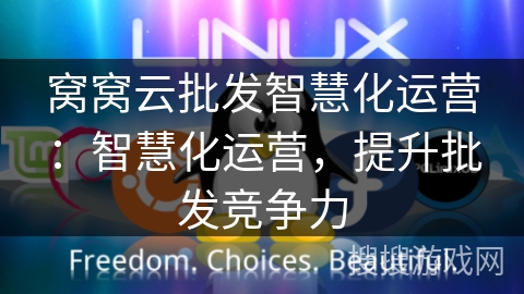 窝窝云批发智慧化运营：智慧化运营，提升批发竞争力