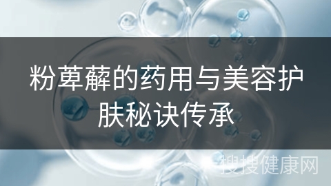 粉萆薢的药用与美容护肤秘诀传承