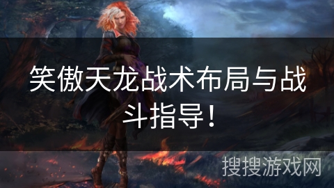 笑傲天龙战术布局与战斗指导! 笑傲天龙战术布局与战斗指导!
