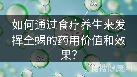 如何通过食疗养生来发挥全蝎的药用价值和效果？