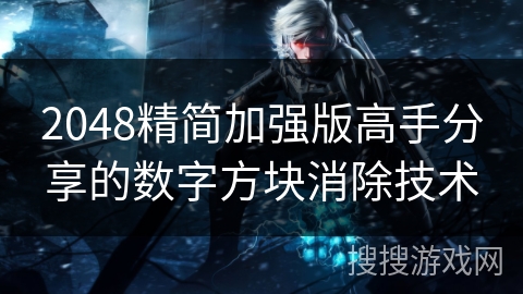 2048精简加强版高手分享的数字方块消除技术