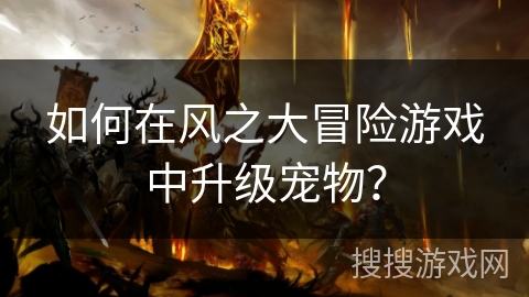如何在风之大冒险游戏中升级宠物？