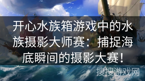 开心水族箱游戏中的水族摄影大师赛：捕捉海底瞬间的摄影大赛！