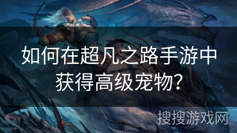 如何在超凡之路手游中获得高级宠物? 如何在超凡之路手游中获得高级宠物?